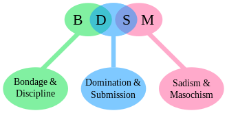 330px-BDSM_acronym.svg